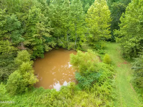1274 Fork Rd, Greenback, TN 37742 photo 59