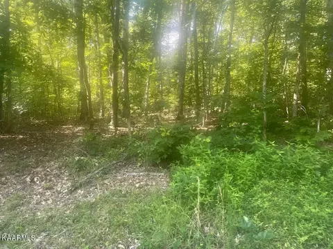0 Shady Shores Ln, Kingston, TN 37763