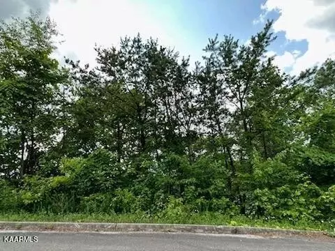 24 Grouse Ridge Ln, Sevierville, TN 37862