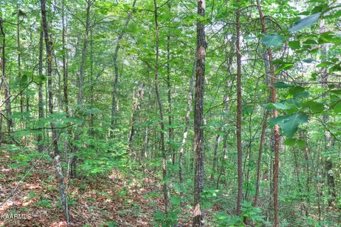 15 Stackstone Rd, Sevierville, TN 37862 photo 9