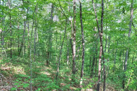 15 Stackstone Rd, Sevierville, TN 37862 photo 10