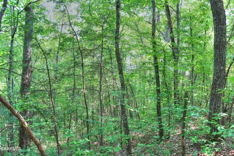 15 Stackstone Rd, Sevierville, TN 37862 photo 11