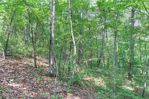15 Stackstone Rd, Sevierville, TN 37862 photo 8
