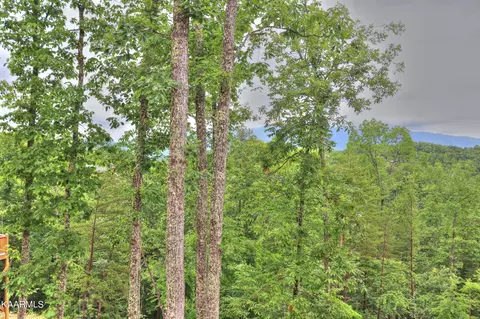 15 Stackstone Rd, Sevierville, TN 37862 photo 14