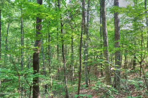 15 Stackstone Rd, Sevierville, TN 37862 photo 7