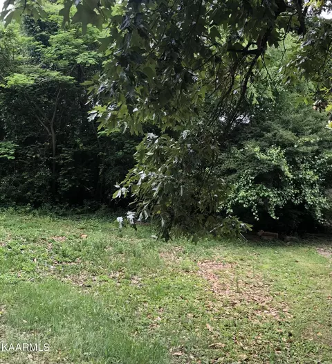 3415 Skyline Dr, Knoxville, TN 37914