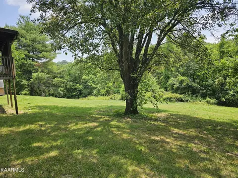 7230 Cherrybrook Ln, Talbott, TN 37877 photo 24