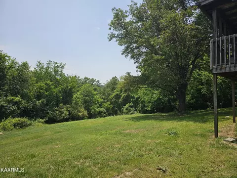 7230 Cherrybrook Ln, Talbott, TN 37877 photo 23