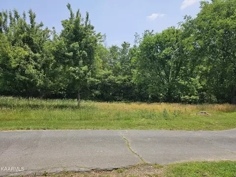 7230 Cherrybrook Ln, Talbott, TN 37877 photo 22