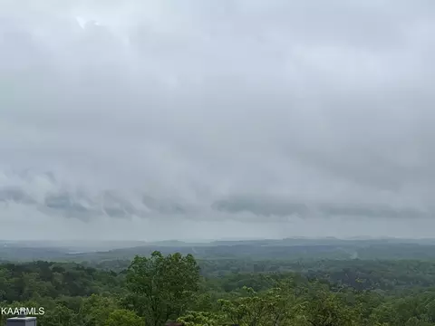 0 Lot 41 Black Oak Estates Rd, Dayton, TN 37321