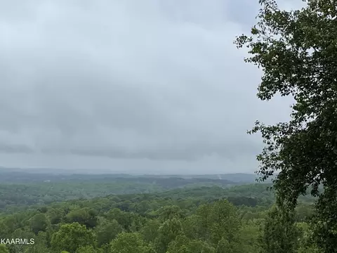 0 Lot 42 Black Oak Estates Rd, Dayton, TN 37321