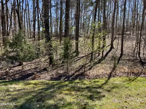61 E Shore Dr, Rockwood, TN 37854