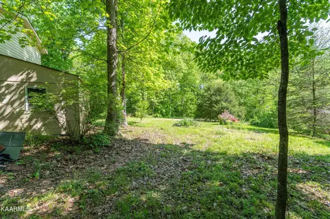 106 Guy Hamby Rd, Lancing, TN 37770 photo 30