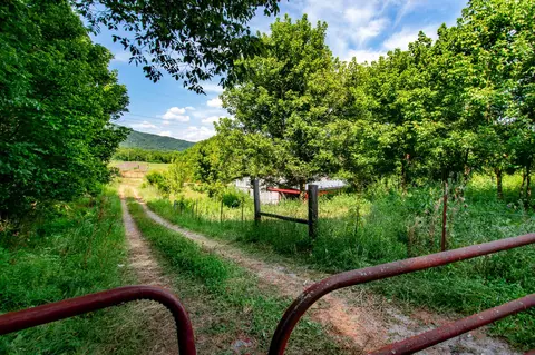136 Mountain Rd, Luttrell, TN 37779 photo 5