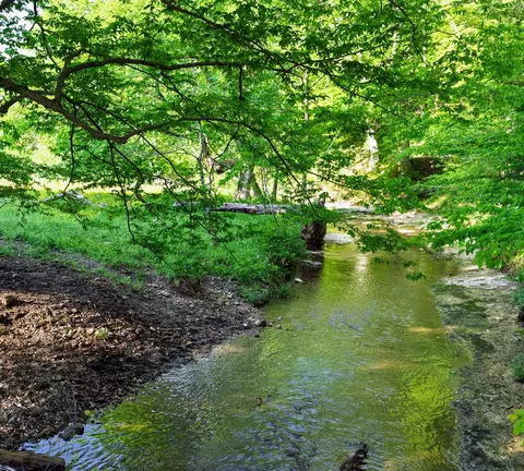 0 Salmon Br W, Erin, TN 37061