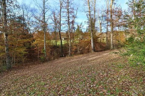 385 Eli Ln, Oneida, TN 37841 photo 27