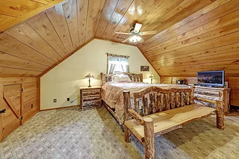 1010 Gamble Dr, Heiskell, TN 37754 photo 15