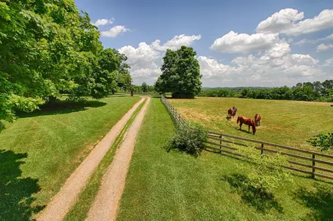 2378 Tarr Rd, Talbott, TN 37877 photo 28