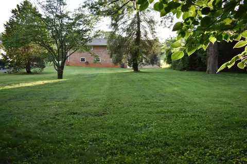 378 Dogwood Ln, Talbott, TN 37877 photo 4
