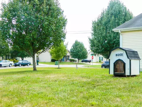 7561 Gary White Rd, Corryton, TN 37721 photo 12
