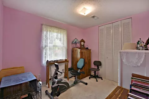 6100 Mcneely Rd, Corryton, TN 37721 photo 10