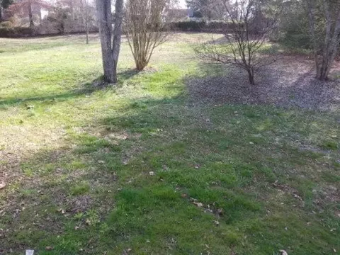 7543 Gibbs Rd, Corryton, TN 37721 photo 16