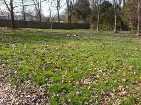 7543 Gibbs Rd, Corryton, TN 37721 photo 3