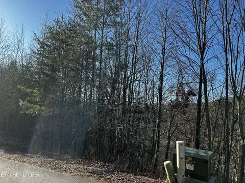 0 Stackstone Rd, Sevierville, TN 37862 photo 18