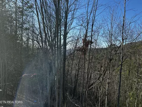 0 Stackstone Rd, Sevierville, TN 37862 photo 19