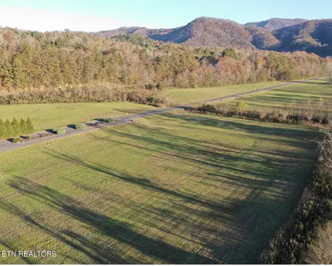 11 River Rapids Way, Del Rio, TN 37727