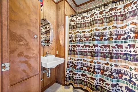 Bath - 558 Bumpus Rd, Cunningham, TN 37052 photo 1 of 8