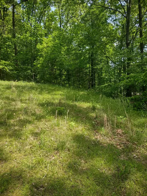1 Cedar Hurst Ln, Pulaski, TN 38478 photo 5