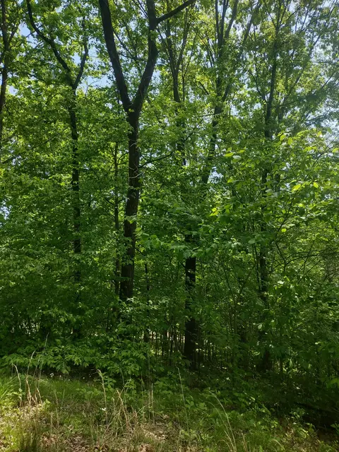 1 Cedar Hurst Ln, Pulaski, TN 38478 photo 6