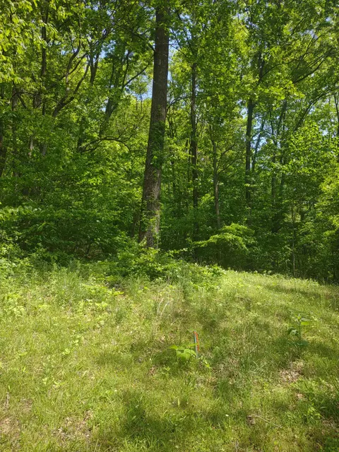 1 Cedar Hurst Ln, Pulaski, TN 38478 photo 4