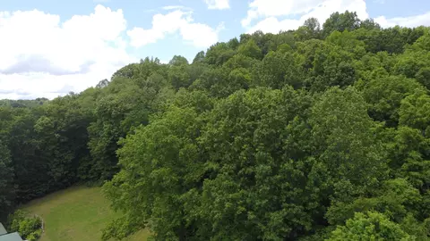 1 Cedar Hurst Ln, Pulaski, TN 38478 photo 12