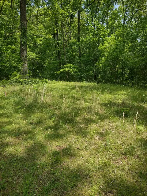 1 Cedar Hurst Ln, Pulaski, TN 38478 photo 3