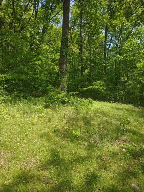 1 Cedar Hurst Ln, Pulaski, TN 38478 photo 9