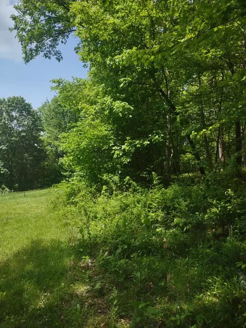 1 Cedar Hurst Ln, Pulaski, TN 38478 photo 7