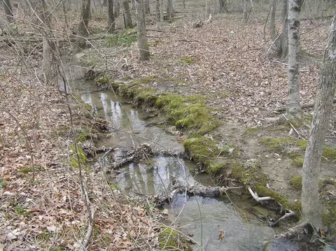 99 Prater Rd, Pikeville, TN 37367