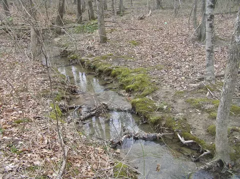 99 Prater Rd, Pikeville, TN 37367