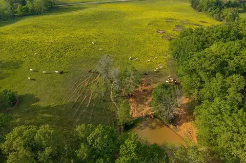 0 Webbs Cp, Doyle, TN 38559 photo 21