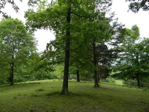 2310 Poplar Grove Rd, Mcewen, TN 37101