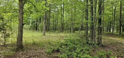 0 2 Lake Trl, Dunlap, TN 37327