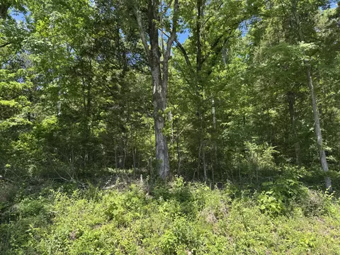 397 Red Bank Rd, Lobelville, TN 37097