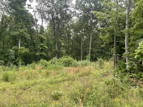 146 Quail Ridge Rd, Summertown, TN 38483