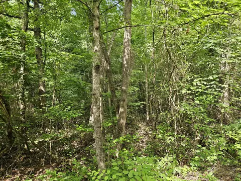 156 Gage Ln, Ocoee, TN 37361 photo 5
