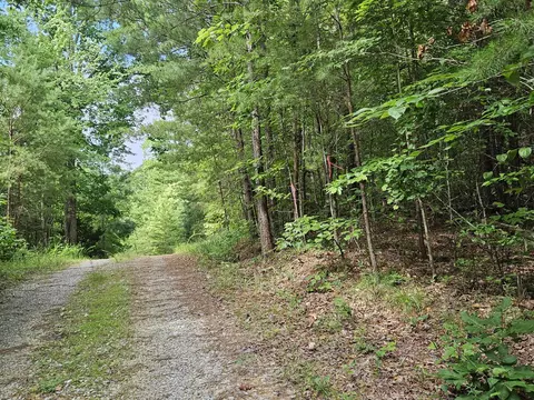 156 Gage Ln, Ocoee, TN 37361 photo 11