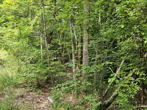 156 Gage Ln, Ocoee, TN 37361 photo 7