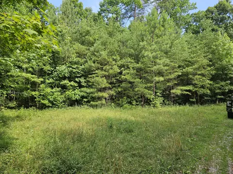 156 Gage Ln, Ocoee, TN 37361 photo 3