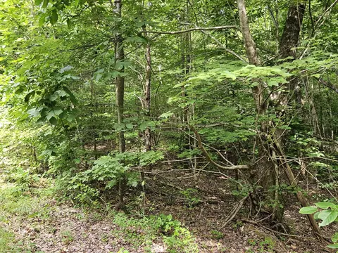 156 Gage Ln, Ocoee, TN 37361 photo 9